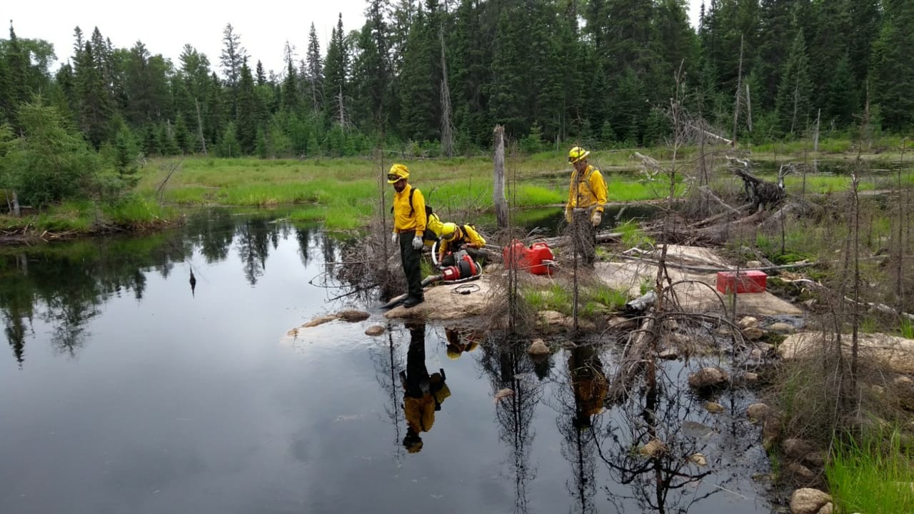 Suman doce los michoacanos que apoyan en combate de incendios forestales en Canadá: CONAFOR