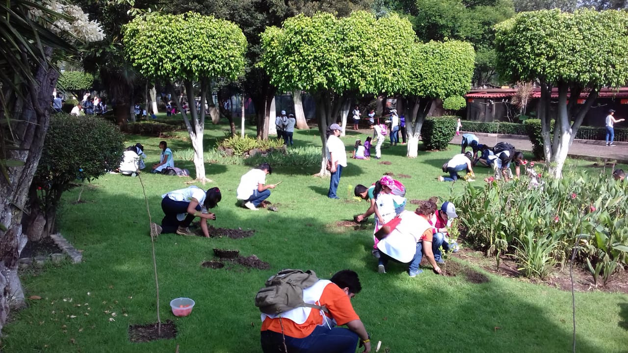 Reforestan instalaciones del Zoológico Benito Juárez