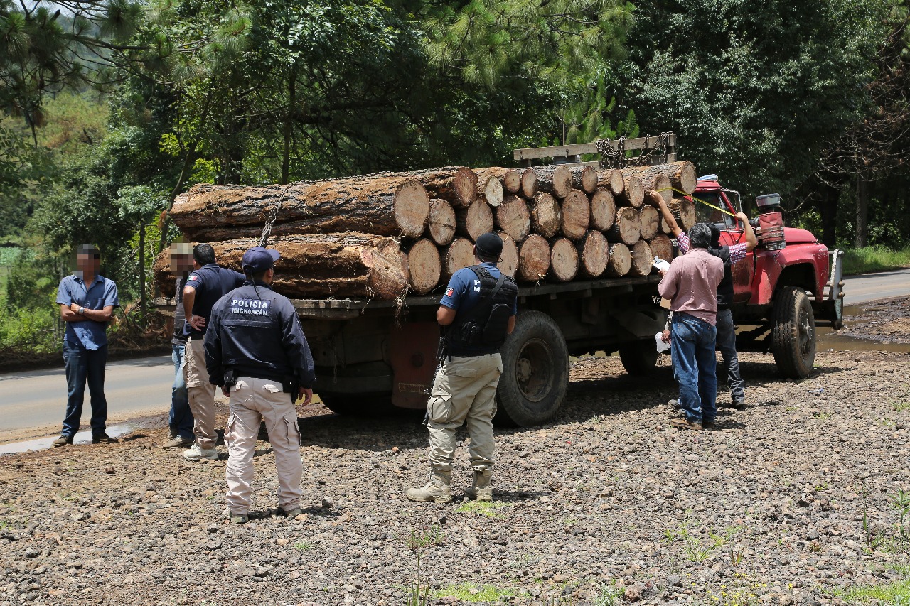 Avanza SSP en estrategia contra la tala ilegal