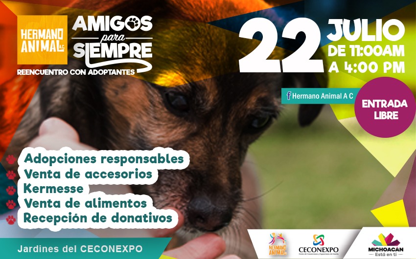 Adopta amor en la Feria de Adopción y Reencuentro de adoptantes