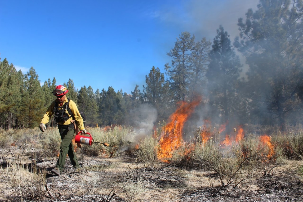 Reconoce CONAFOR a combatientes y técnicos de manejo del fuego