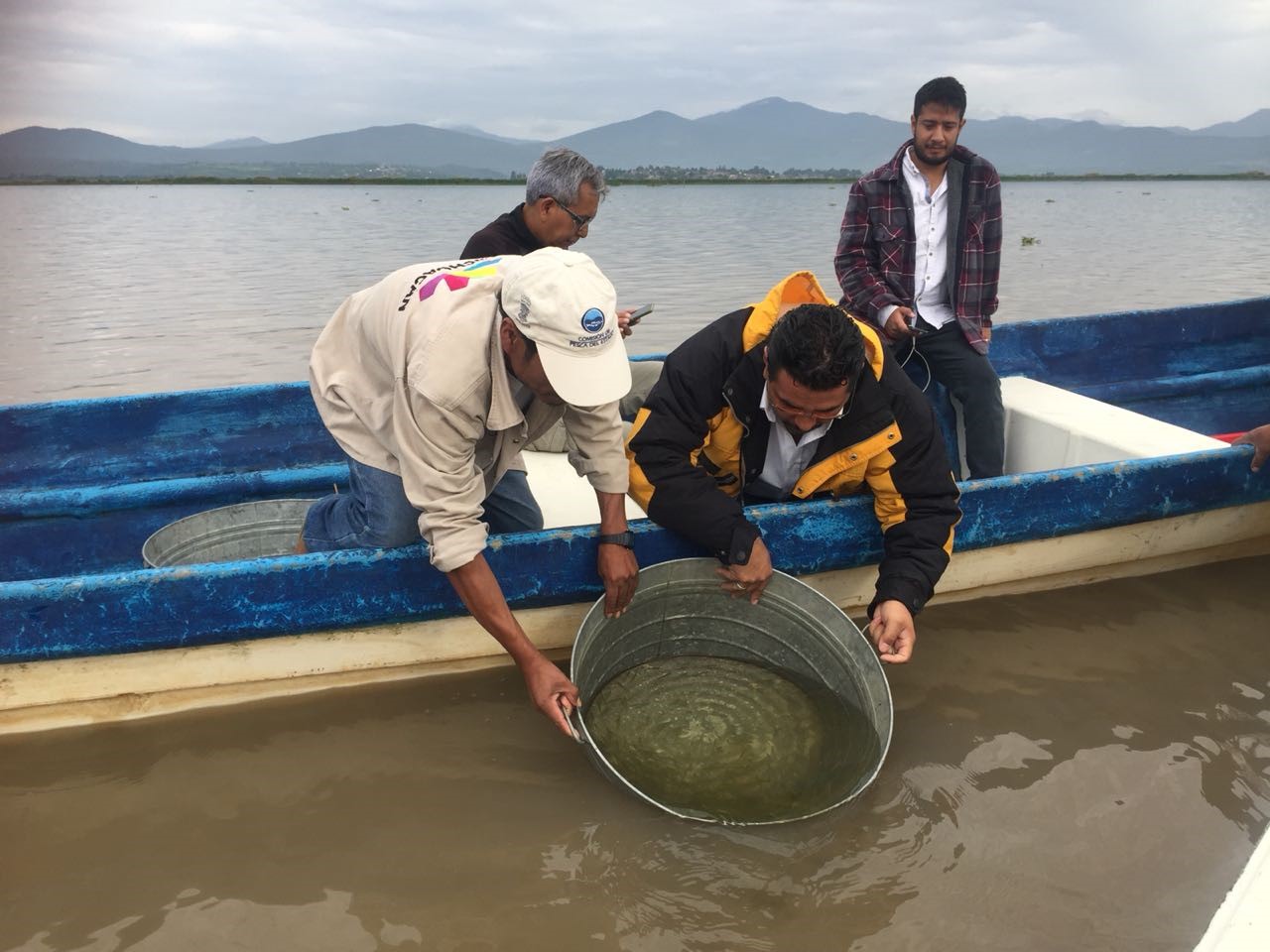 Siembra Compesca 4 mil crías de pez blanco en el lago de Pátzcuaro