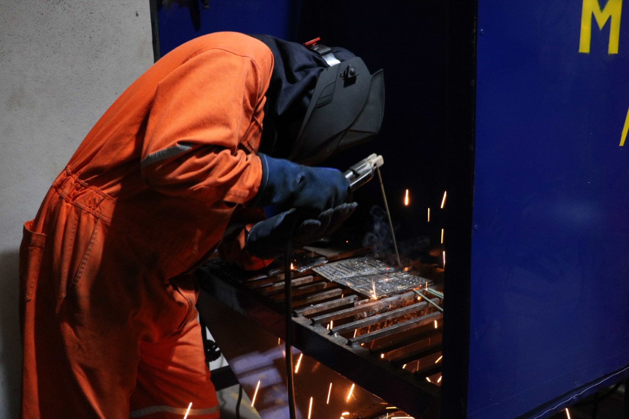 Estudiantes Realizan estancias delfín