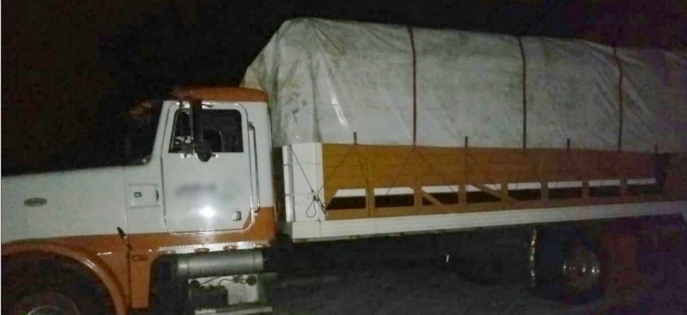 Asegura Policía Michoacán 11 toneladas de aguacate