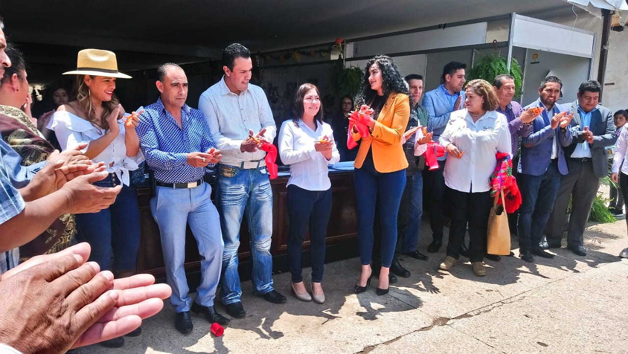 En los próximos años, atención especial al campo michoacano: diputada electa Laura Granados