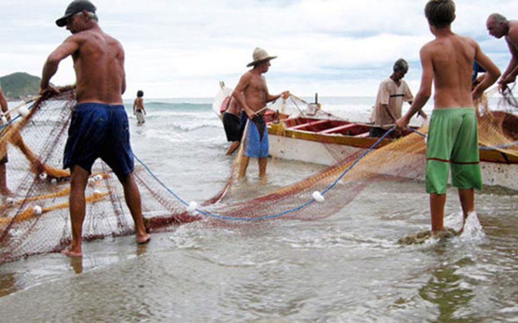 Acuicultura, carrera que potenciará la pesca en Michoacán: Compesca