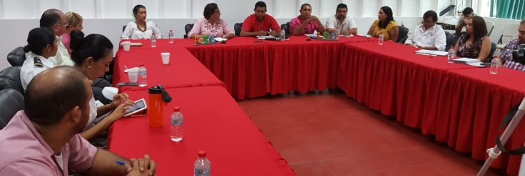 Refuerza acciones Compesca para proteger la tortuga marina