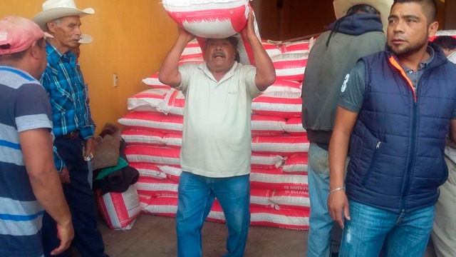 En tres años, invertidos más de 343 mdp para fertilización suelos: Sedrua