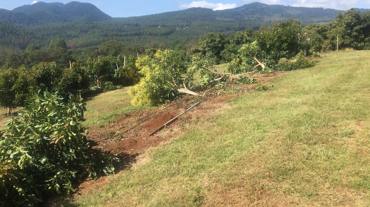 Por primera vez, clausuran cañón antigranizo en Michoacán