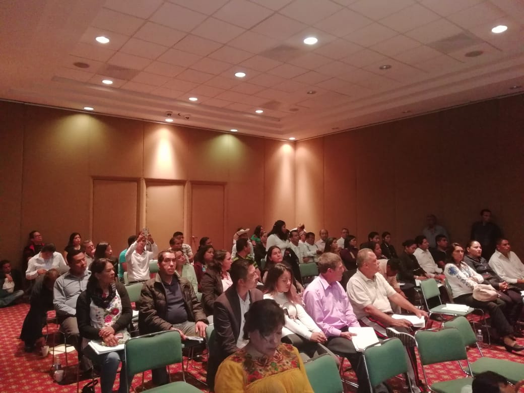 Analiza problemática y necesidades de pueblos originarios