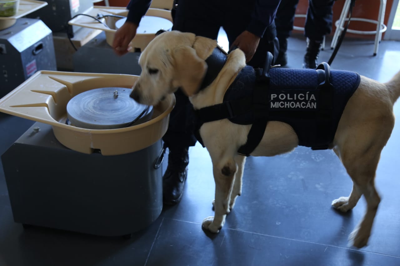 Activa SSP Revisión en plantel de UNAM; sin hallazgo de artefactos explosivos