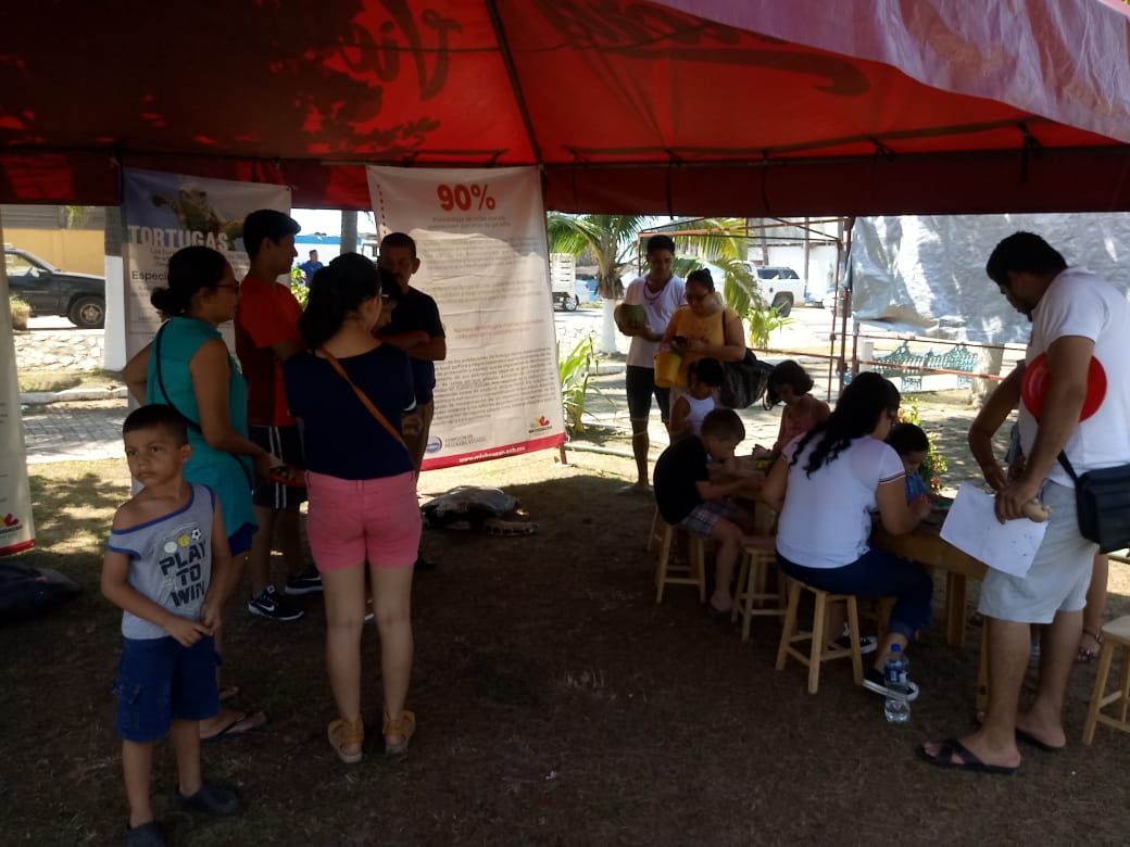 Protección a más de 584 mil huevos de tortuga: Compesca