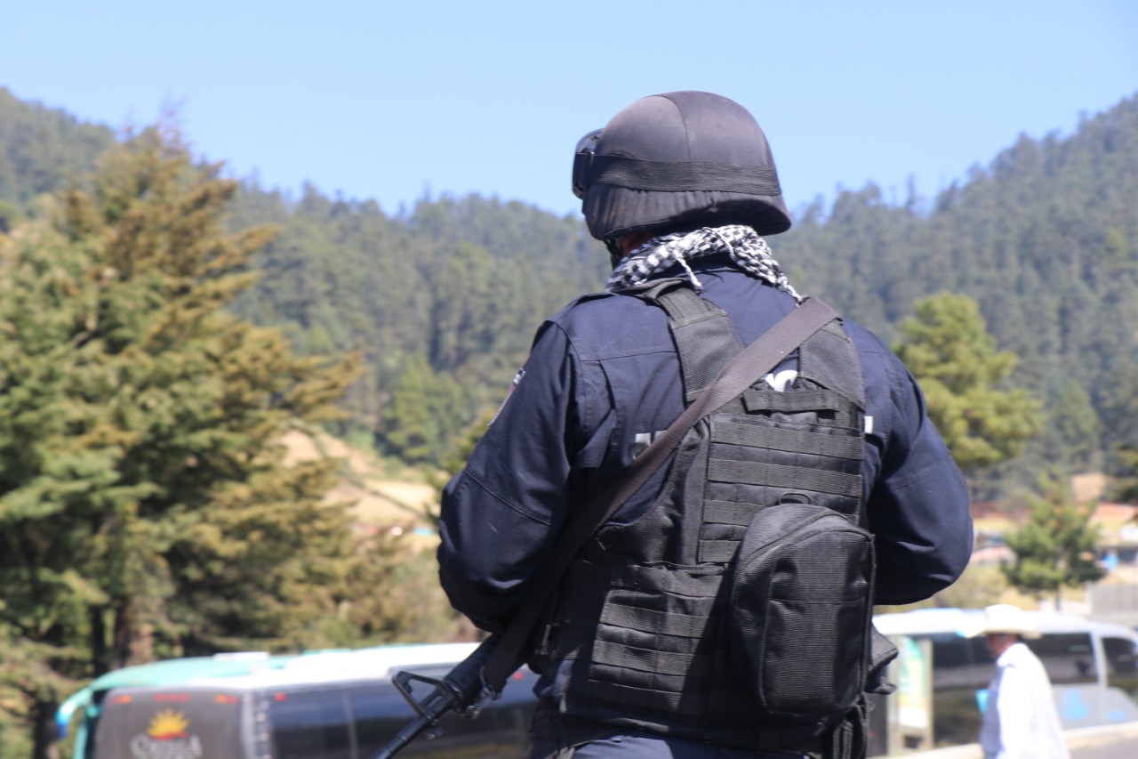 Detiene SSP a un hombre por tala ilegal en Ziracuaretiro