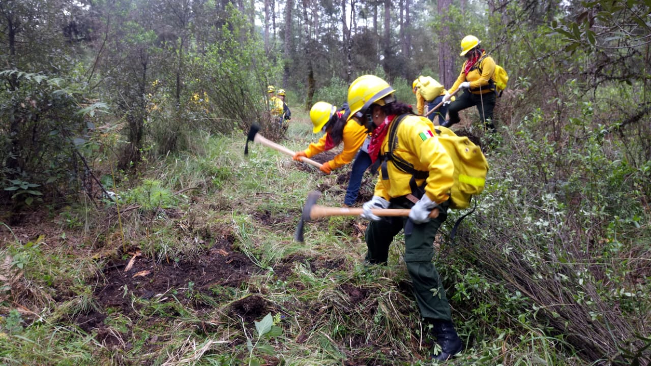 Michoacán promueve la participación de las mujeres en manejo del fuego