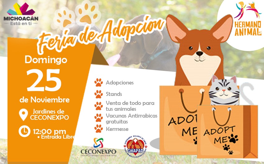 Próximo domingo, Feria de Adopción Hermano Animal