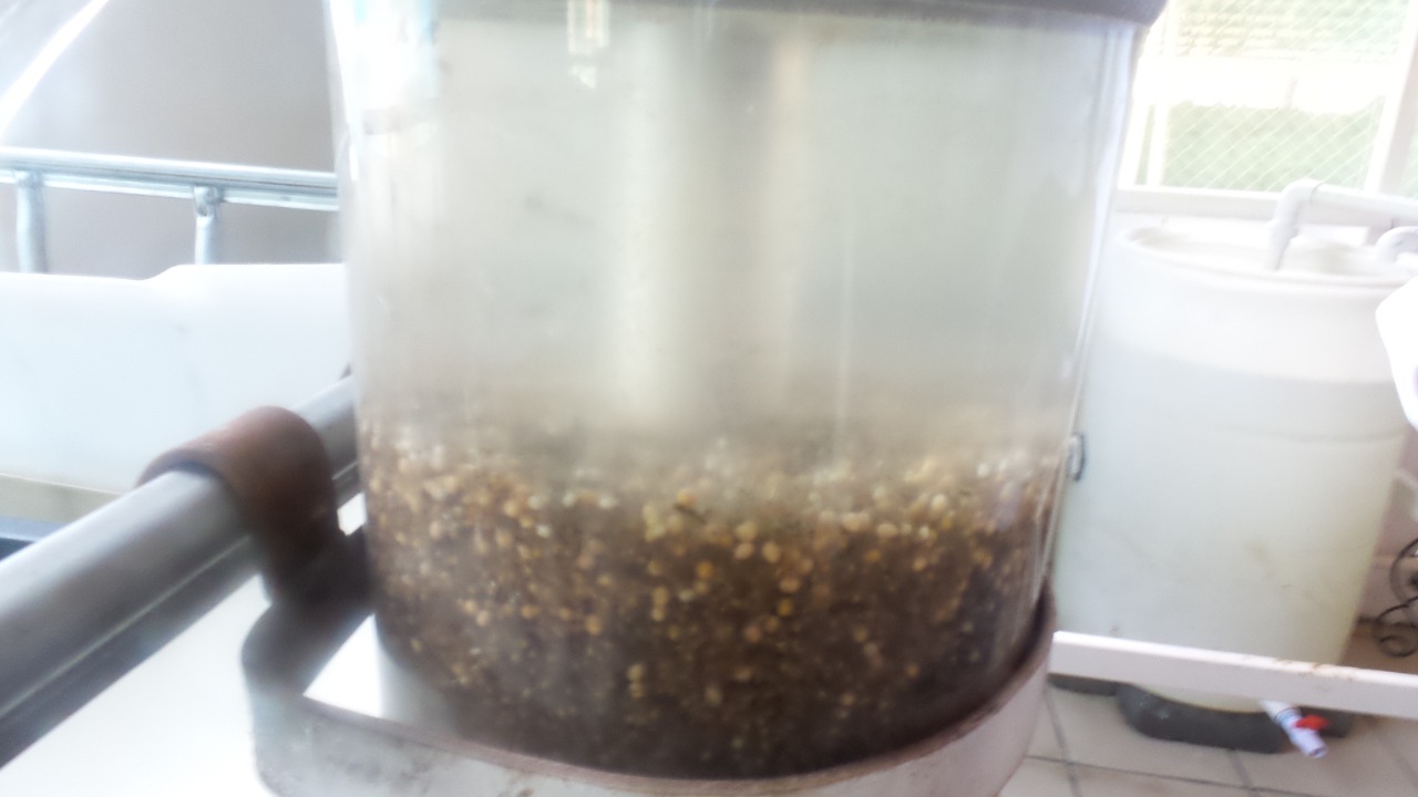 En Michoacán, único centro acuícola certificado por Senasica