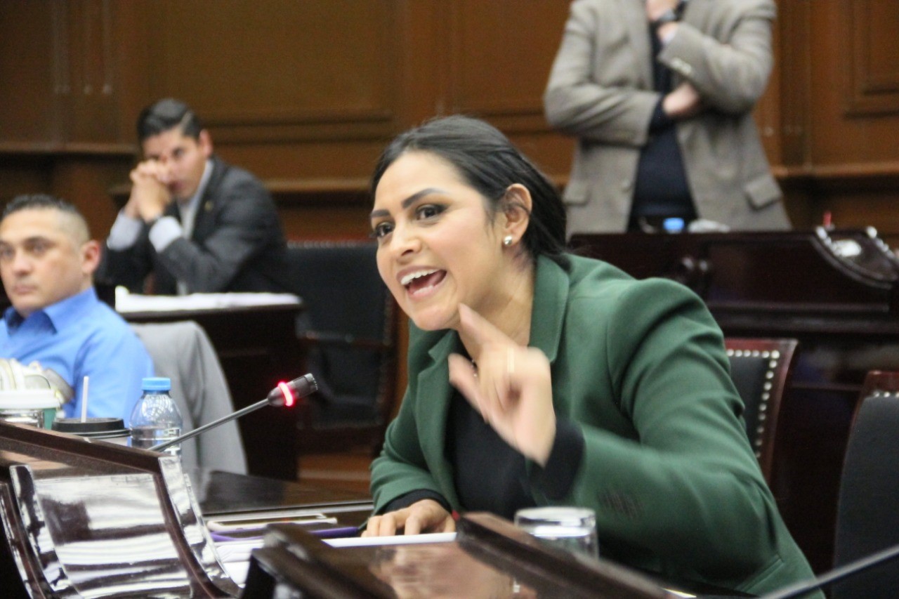 Michoacán recibirá 135.5 mdp menos en materia de turismo en el 2019: Araceli Saucedo