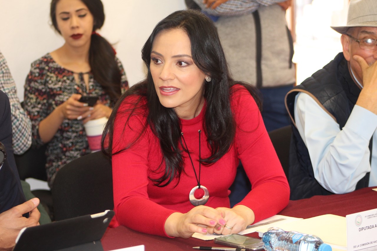 La inocencia de Jesús Reyna queda demostrada legalmente: Adriana Hernández