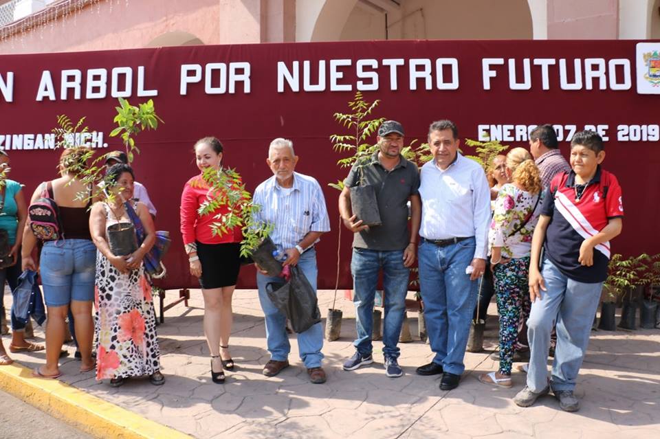 Entregan árboles para reforestar en Apatzingan.