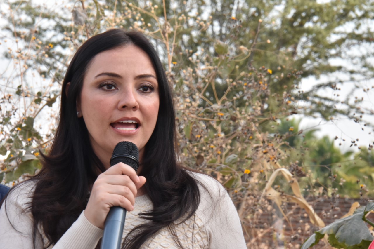 La solidaridad se logra con atención a grupos vulnerables: Adriana Hernández