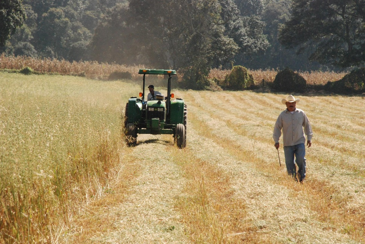 Positiva la visita del Presidente de República, a Huetamo: PRD