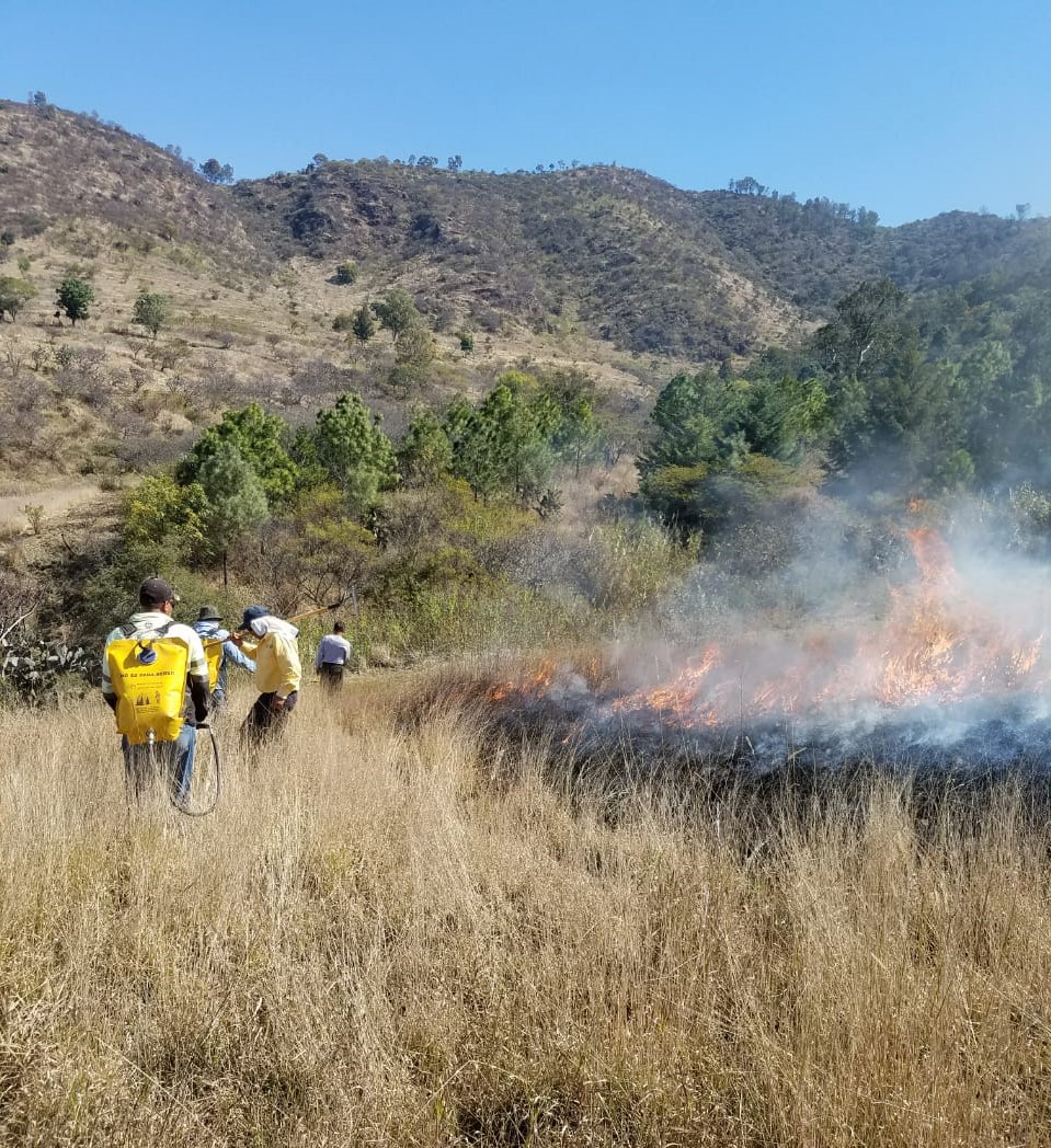 Fortalece Semaccdet acciones para prevención de incendios forestales en el Estado