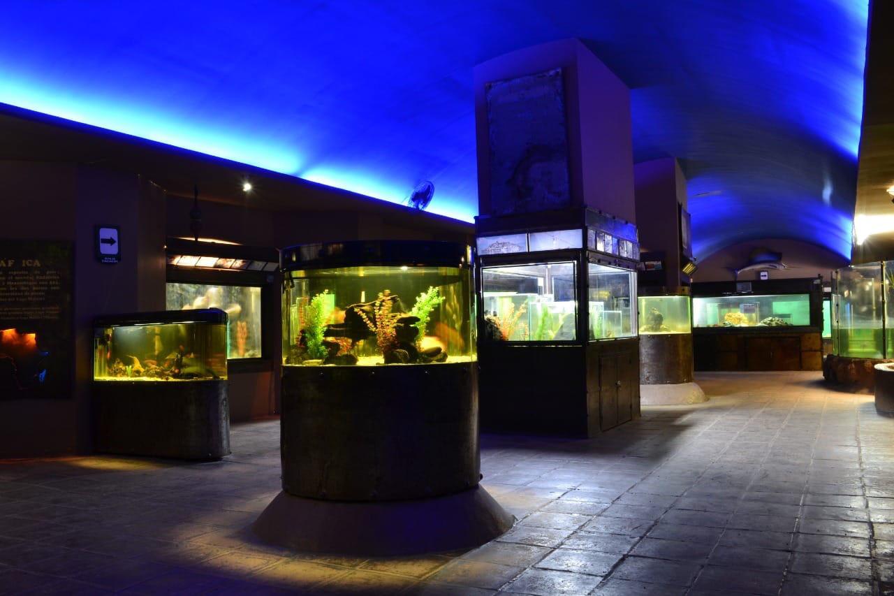 El Zoo de Morelia, primer Museo Viviente de México