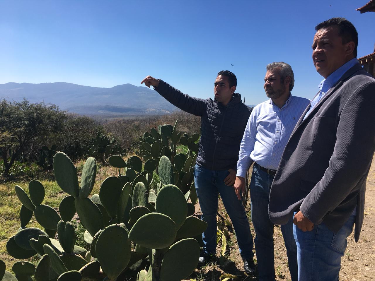 Alfredo Ramírez: Congreso debe dar certeza territorial a Jiquilpan y Sahuayo