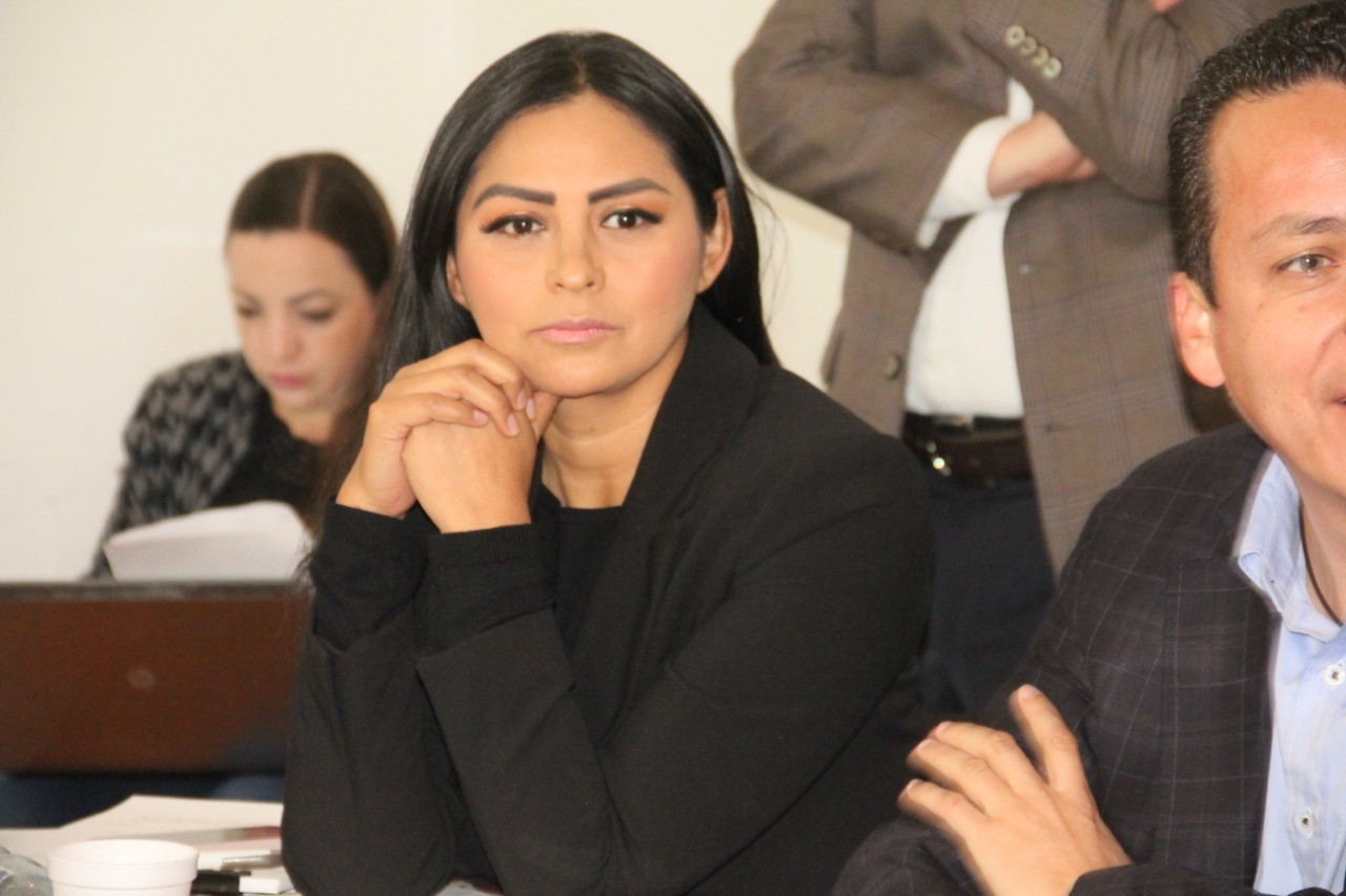 Ley Orgánica garantiza efectividad de Fiscalía General, que contará con Consejo Consultivo: Araceli Saucedo