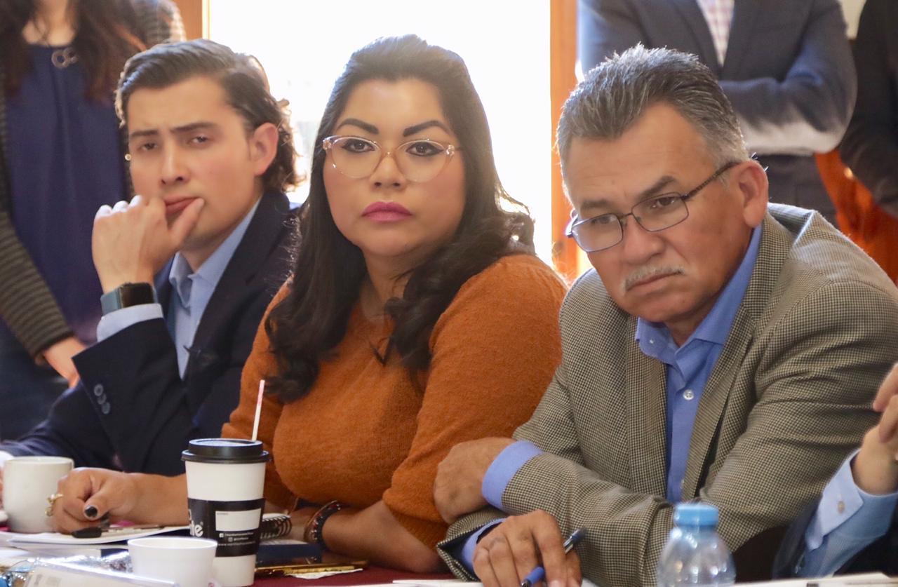 Un error elegir un Fiscal al vapor y con prisas: Brenda Fraga