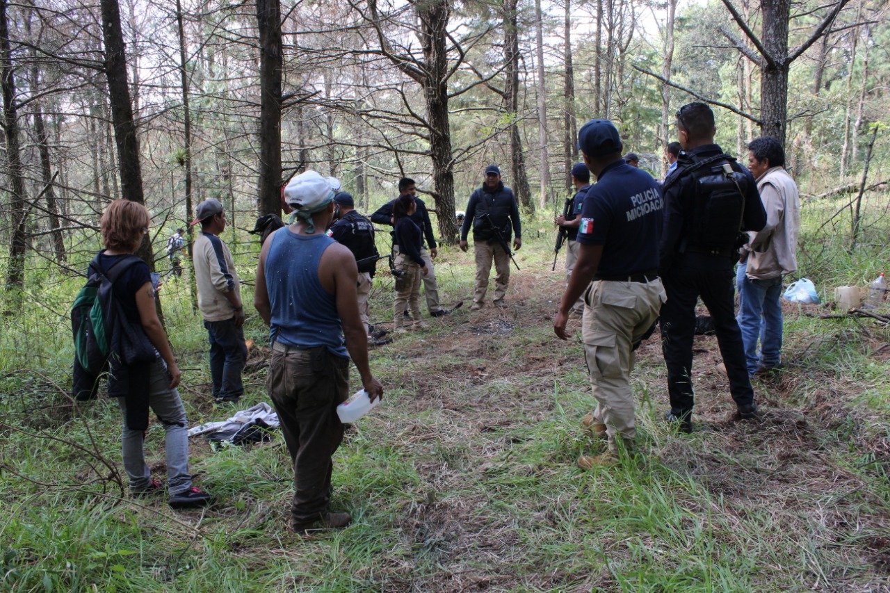 Combate Gobierno del Estado tala clandestina y cambio de uso de suelo
