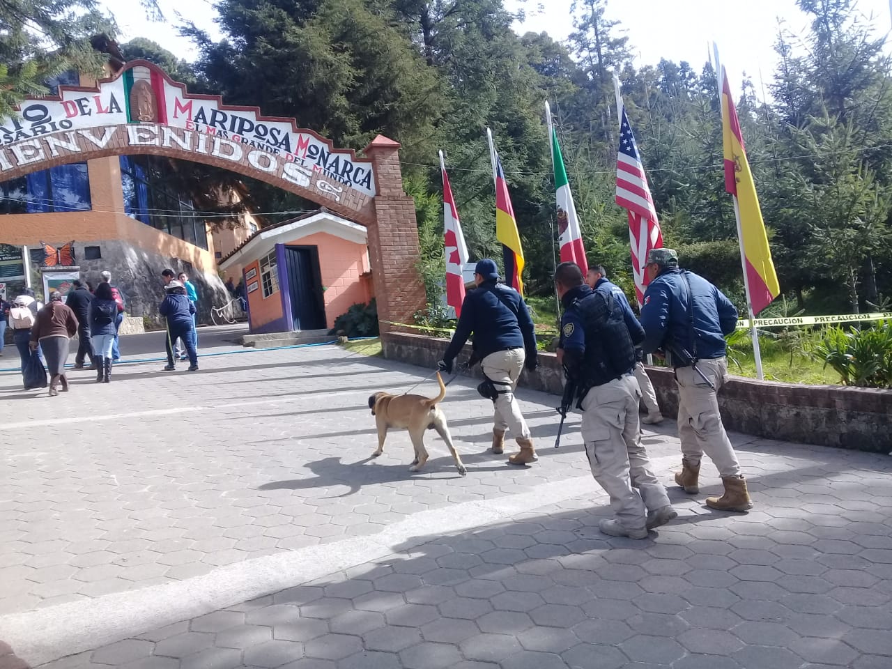 Mantiene Policía Michoacán vigilancia en la Biosfera de la Mariposa Monarca