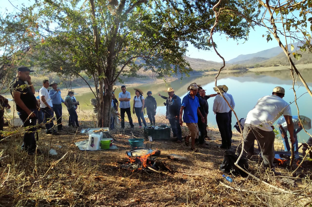Estado y municipio de Huetamo, realizan jornada de reforestación en El Pejo