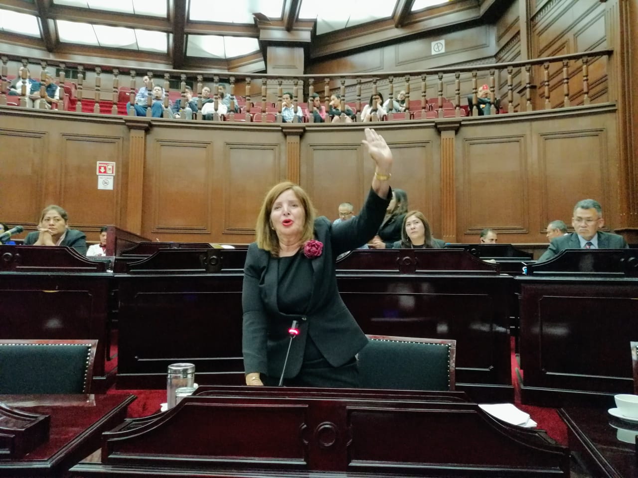 Modificación histórica a nombre de Apatzingán, plantea diputada Sandra Luz Valencia