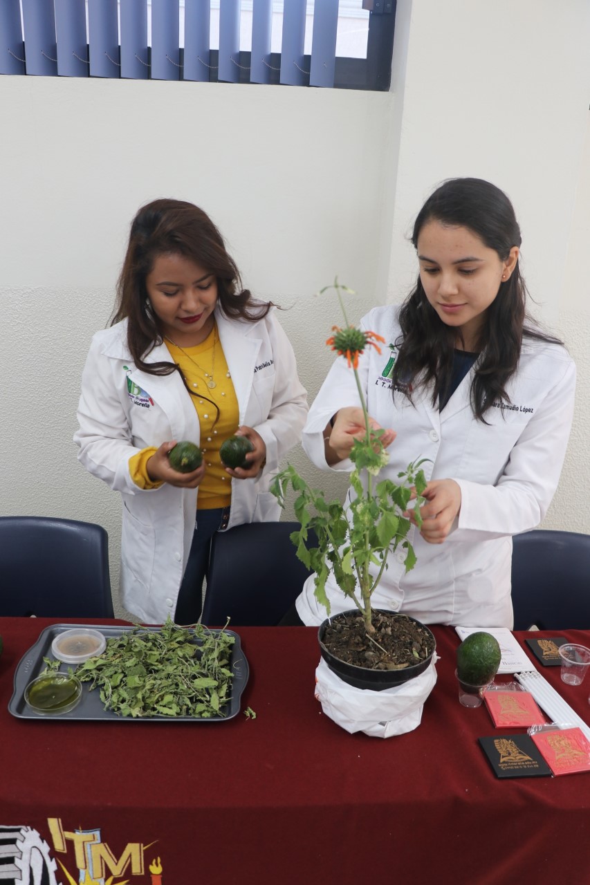 INSTITUTO TECNOLÓGICO DE MORELIA ALUMNOS REALIZAN PELÍCULA PROTECTORA PARA AGUACATE