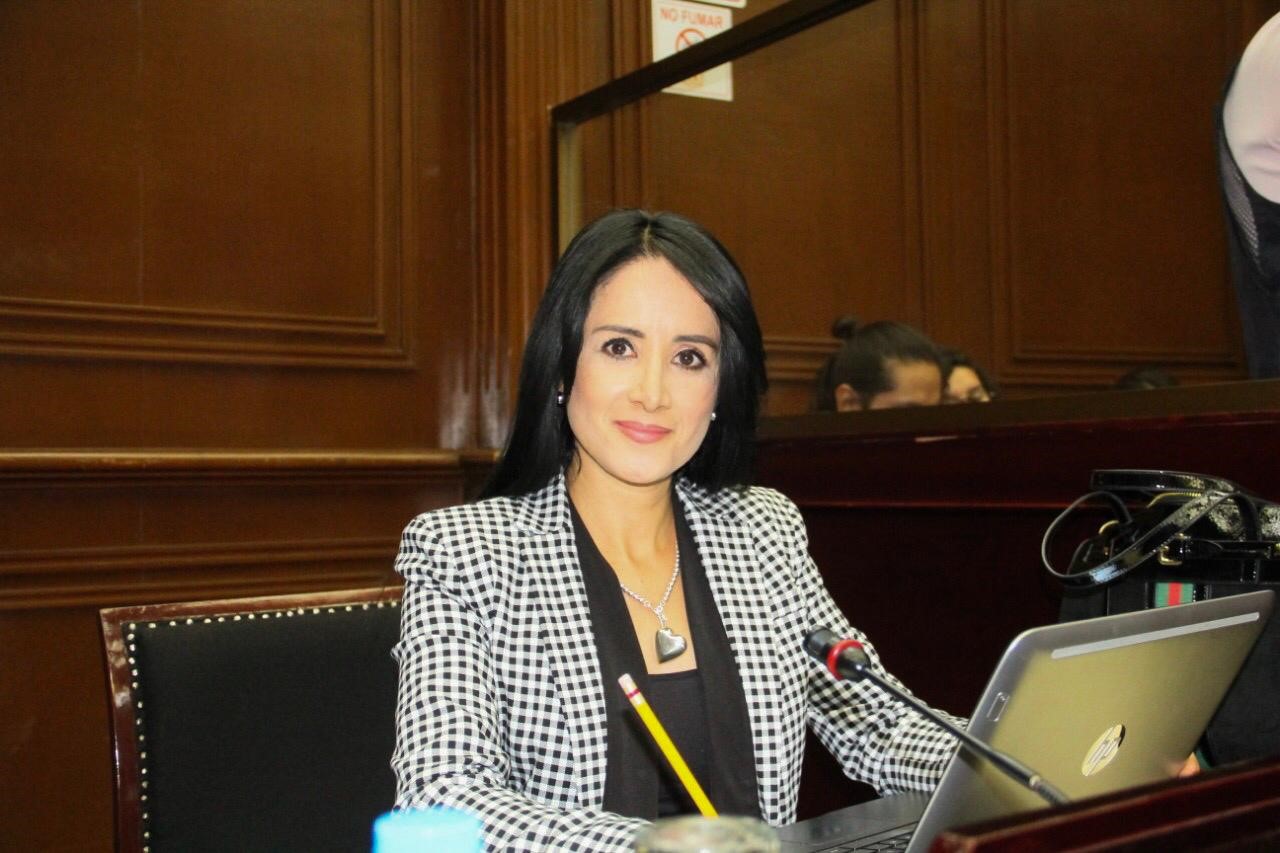 Planteará Lucila Martínez dar fin a iniciativas en estado vegetativo en el Congreso