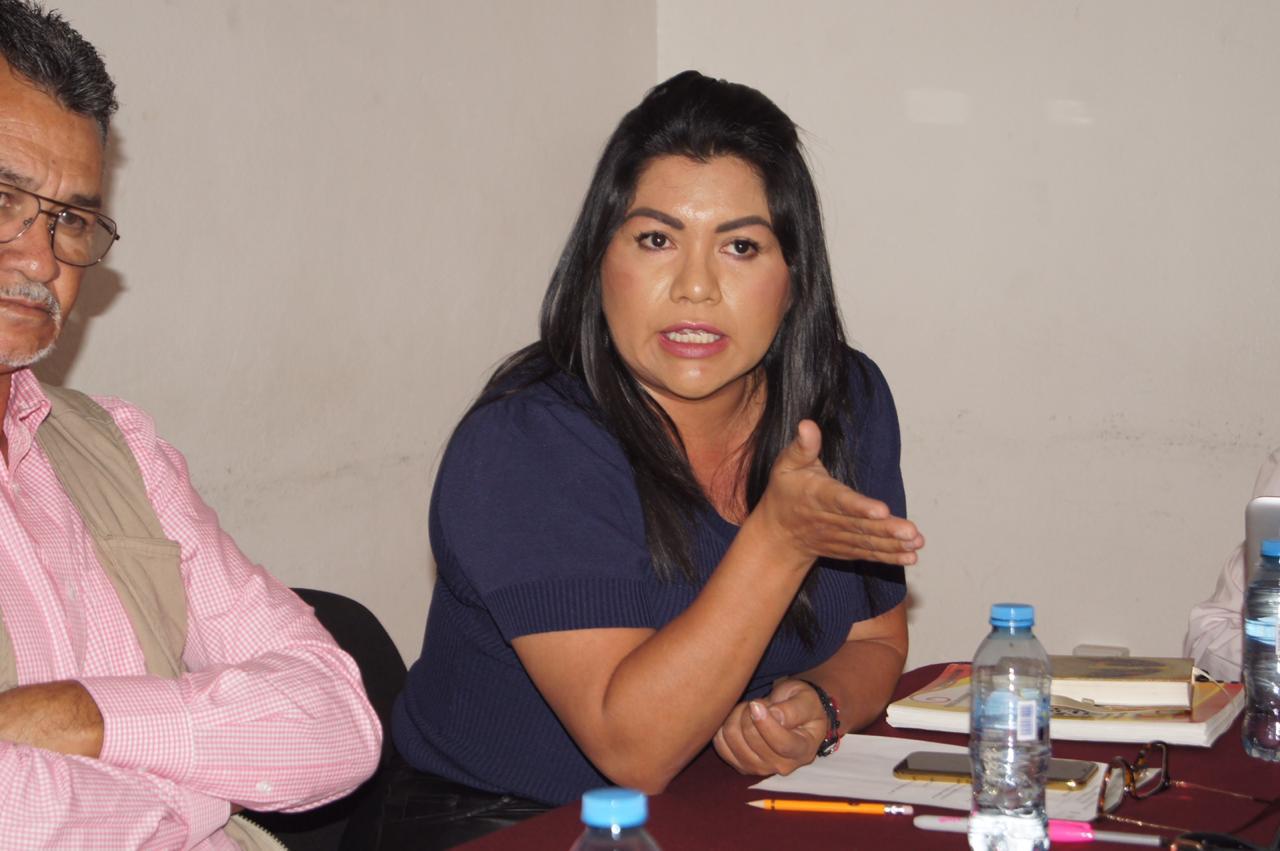 Urge eliminar lujos y desvío de recursos antes que desaparecer Junta de Caminos: Brenda Fraga