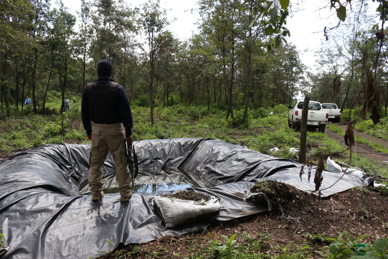 Comunicado Continúa SSP acciones operativas para preservar los bosques michoacanos