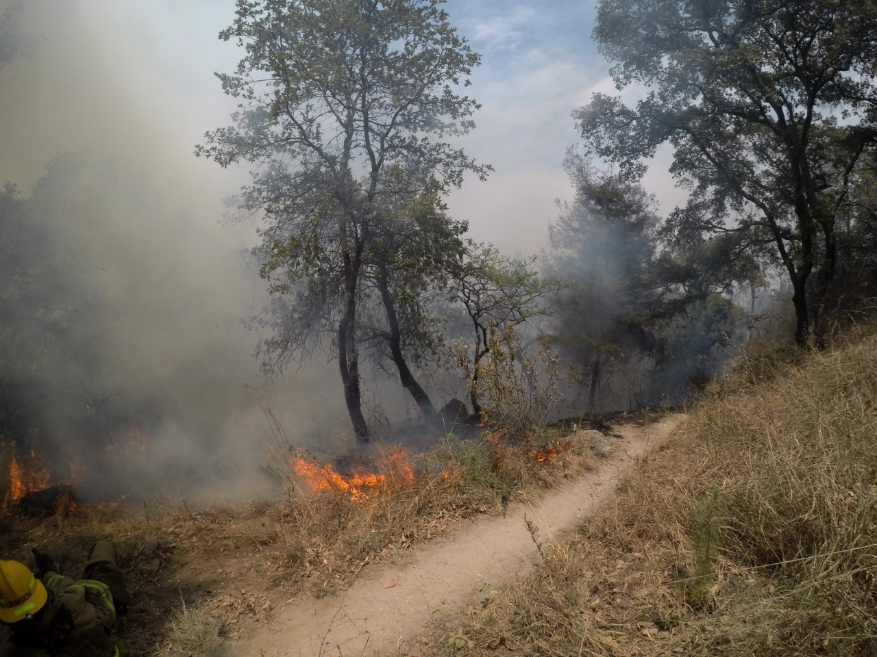 Hasta nueve años de cárcel a quien provoque incendios forestales: Semaccdet