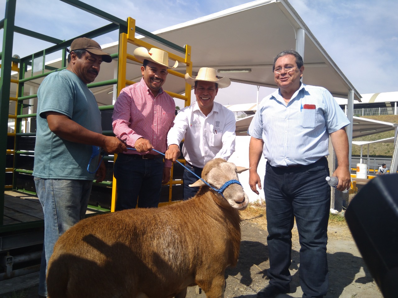 Llegan primeros sementales bovinos a recinto ferial: Sedrua