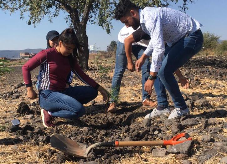 Ijumich ha donado más de 360 árboles a instituciones educativas