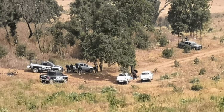 Recupera Mesa de Seguridad Ambiental, zona boscosa usada para producir aguacate