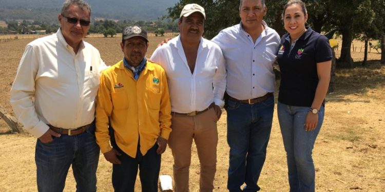 Gobierno del Estado reconoce y agradece labor de brigadistas de la Región Uruapan