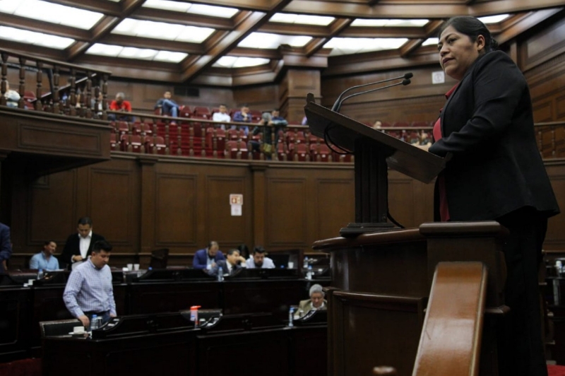 Plantea diputada Zenaida Salvador Atención a sectores indígenas en materia electoral