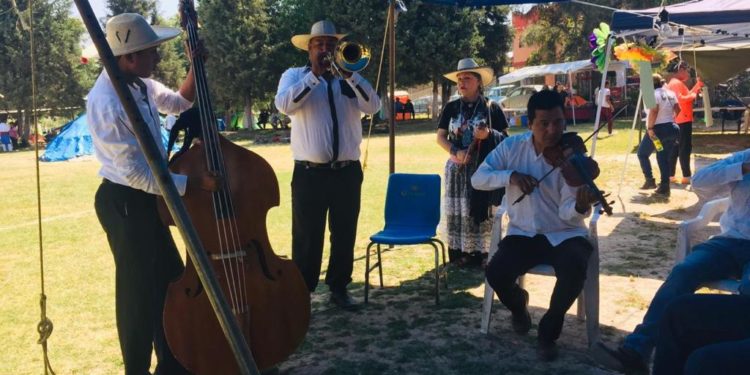 Trabaja Gobierno del Estado en la preservación y el rescate de las culturas originarias: CEDPI