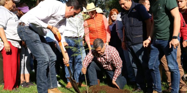 Ciudadanos y Gobierno en cruzada de reforestación, en Morelia