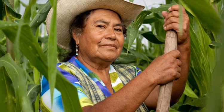 En el campo michoacano, 51 mil mujeres son cabeza de familia: Sedrua