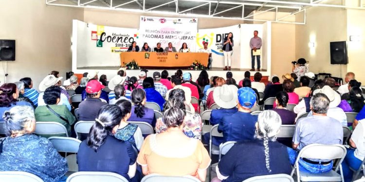 Se suman 103 habitantes de Queréndaro y Coeneo a las Palomas Mensajeras