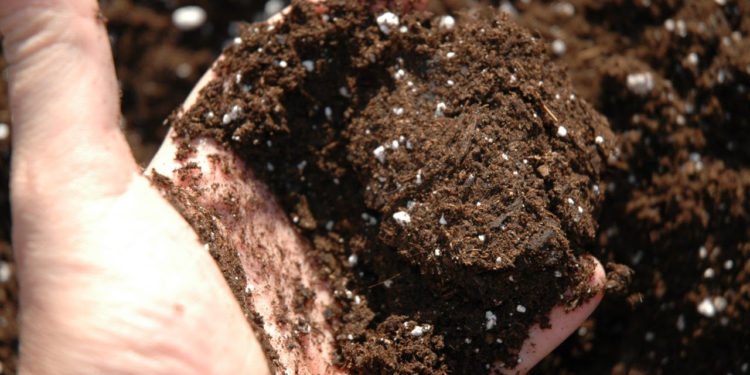 Realiza Sedrua análisis de suelos agrícolas en 95 municipios