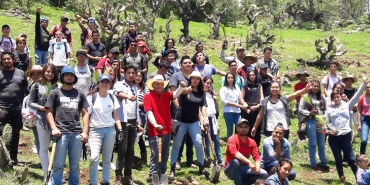 El Dip. Local Salvador Arvizu Cisneros y Estudiantes impulsan Reforestación en San Rafael Coapa